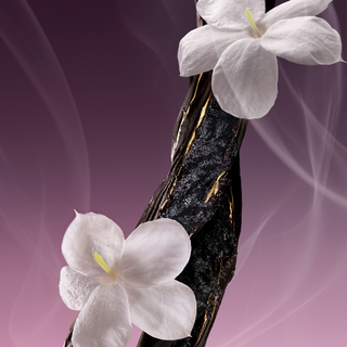 Eau de Parfum - Incense of Stars - 50ml