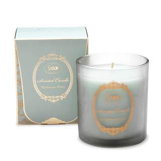 Geurkaars L Mysterieus Water  230g